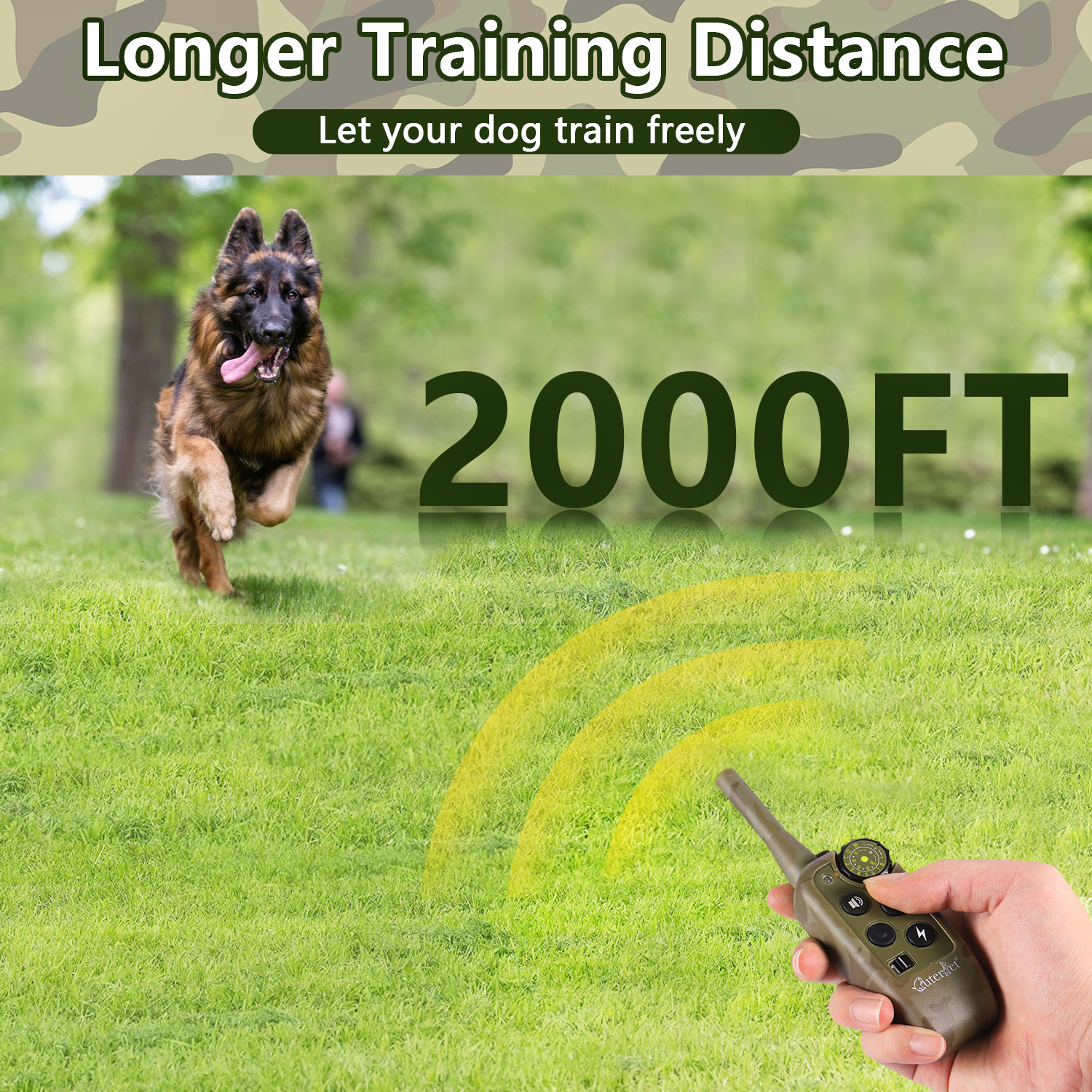 1000m Electric Dog Training Co - Hot Dog Press 리뷰 및 가격