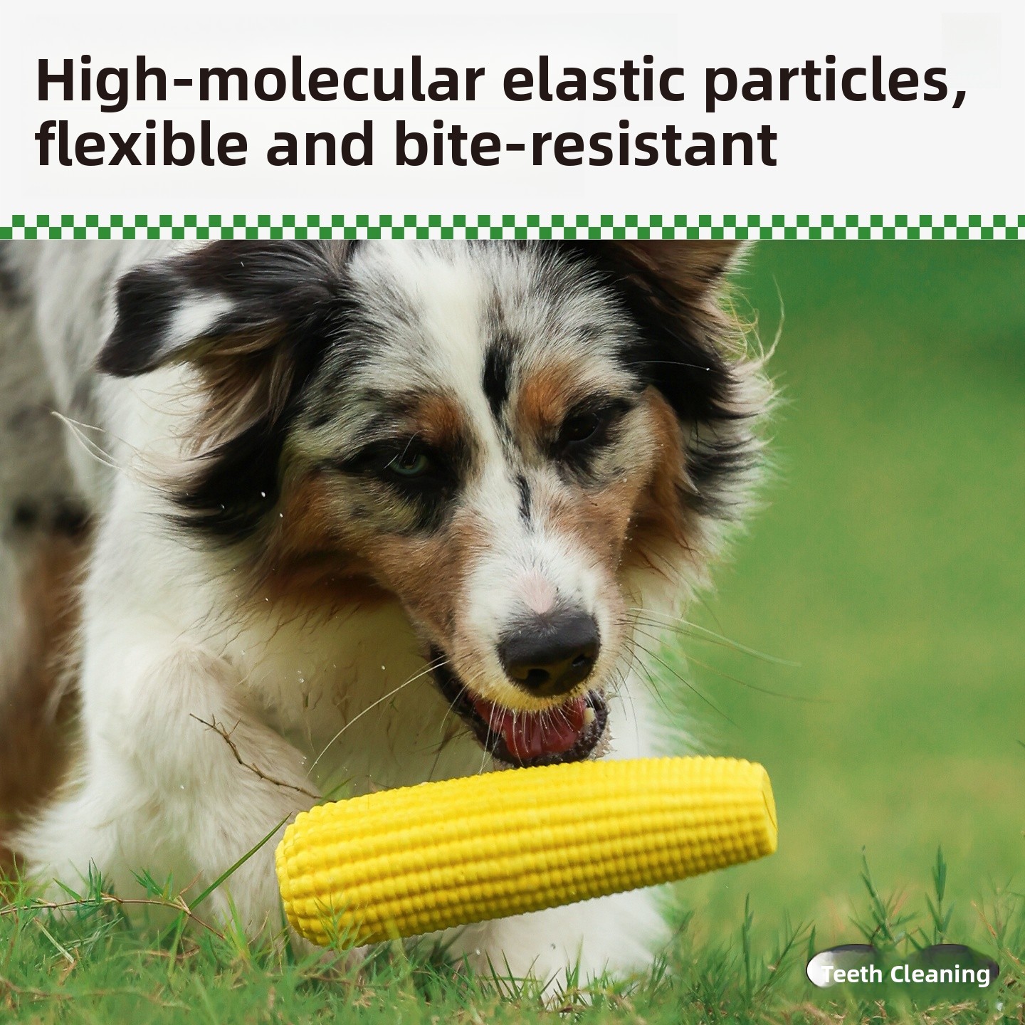 QZee Durable ETPU Corn Dog Toy - Corn Dog Stick 리뷰 및 가격