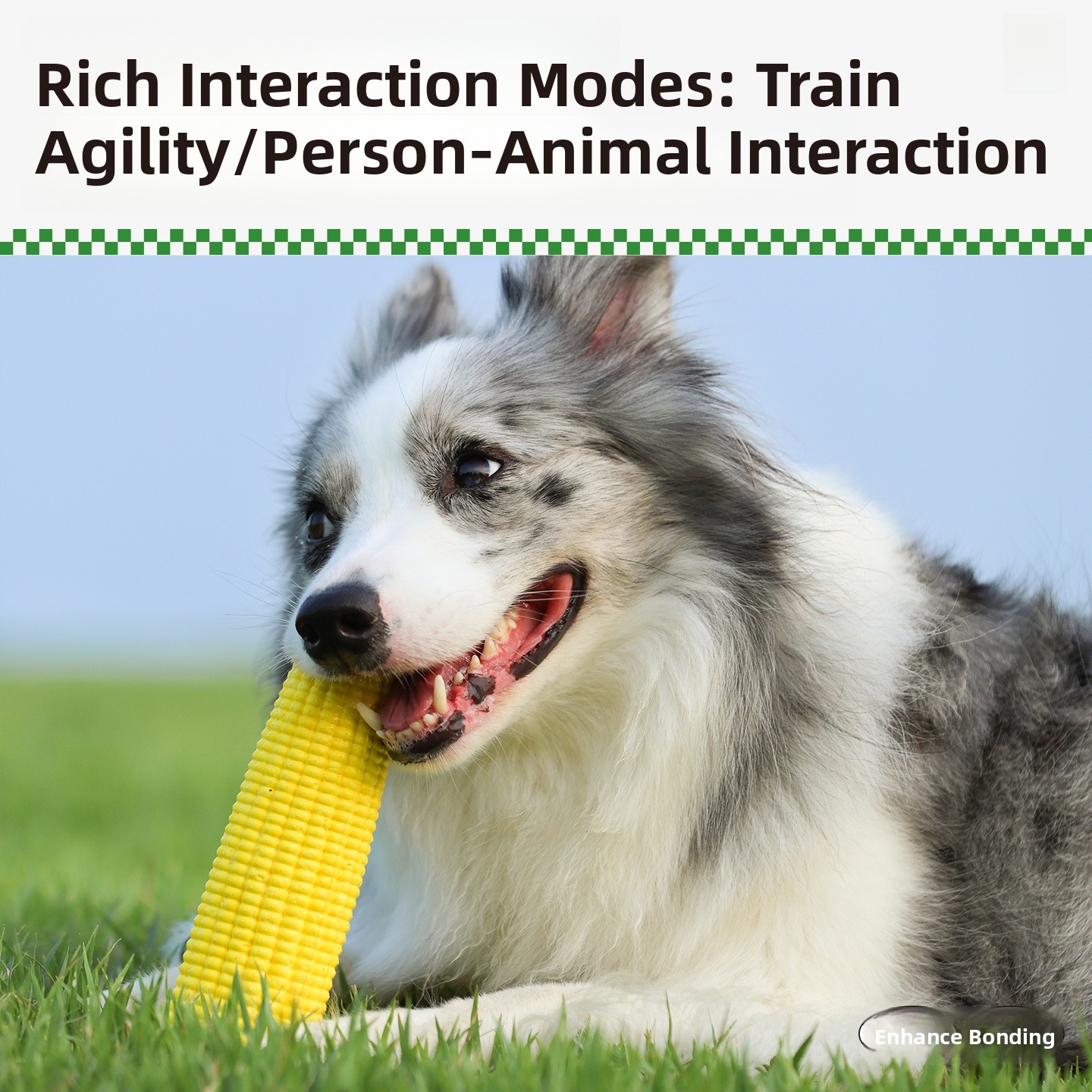 QZee Durable ETPU Corn Dog Toy - Corn Dog Stick 리뷰 및 가격
