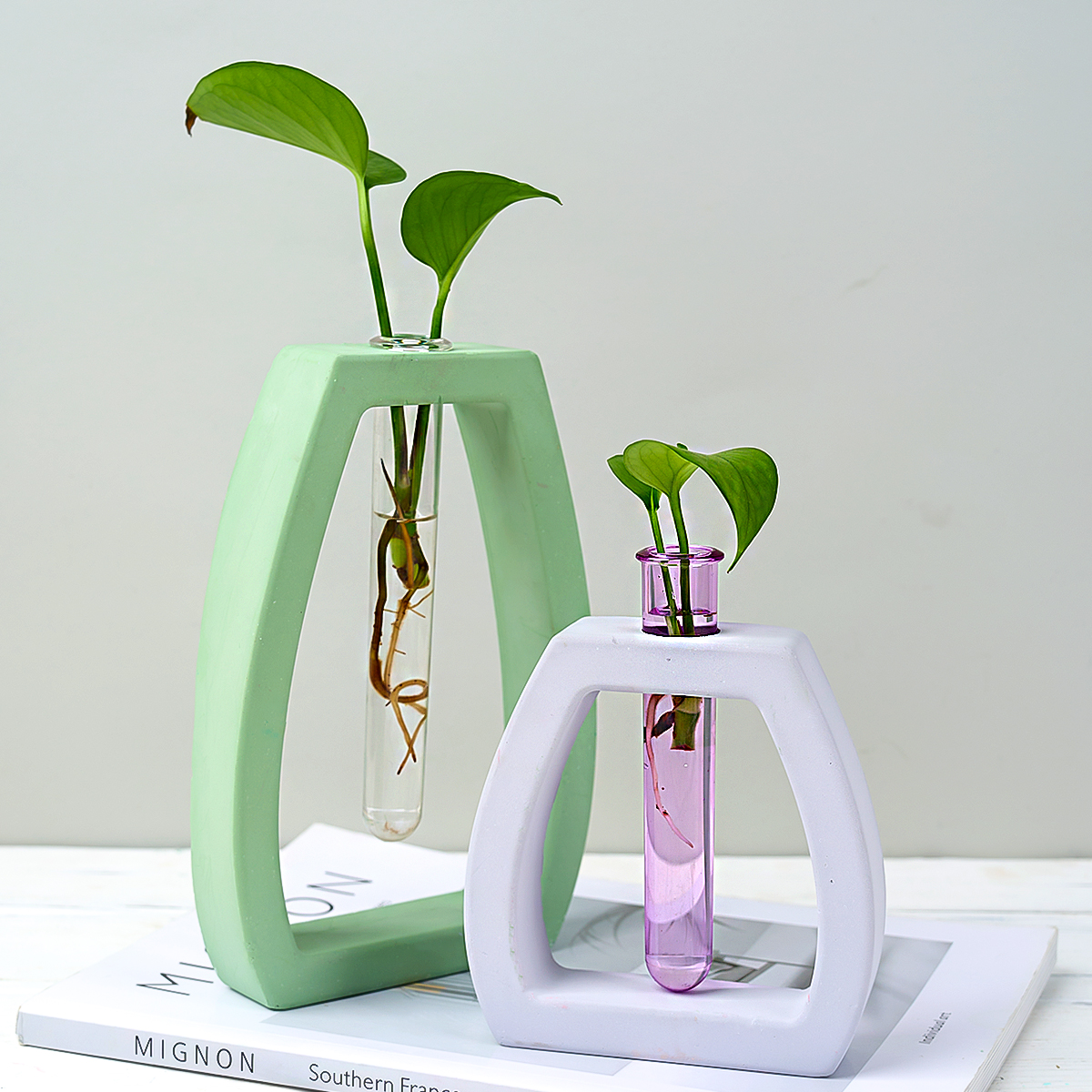Hydroponic Test Tube Vase Sili - Potsticker Mold 리뷰 및 가격