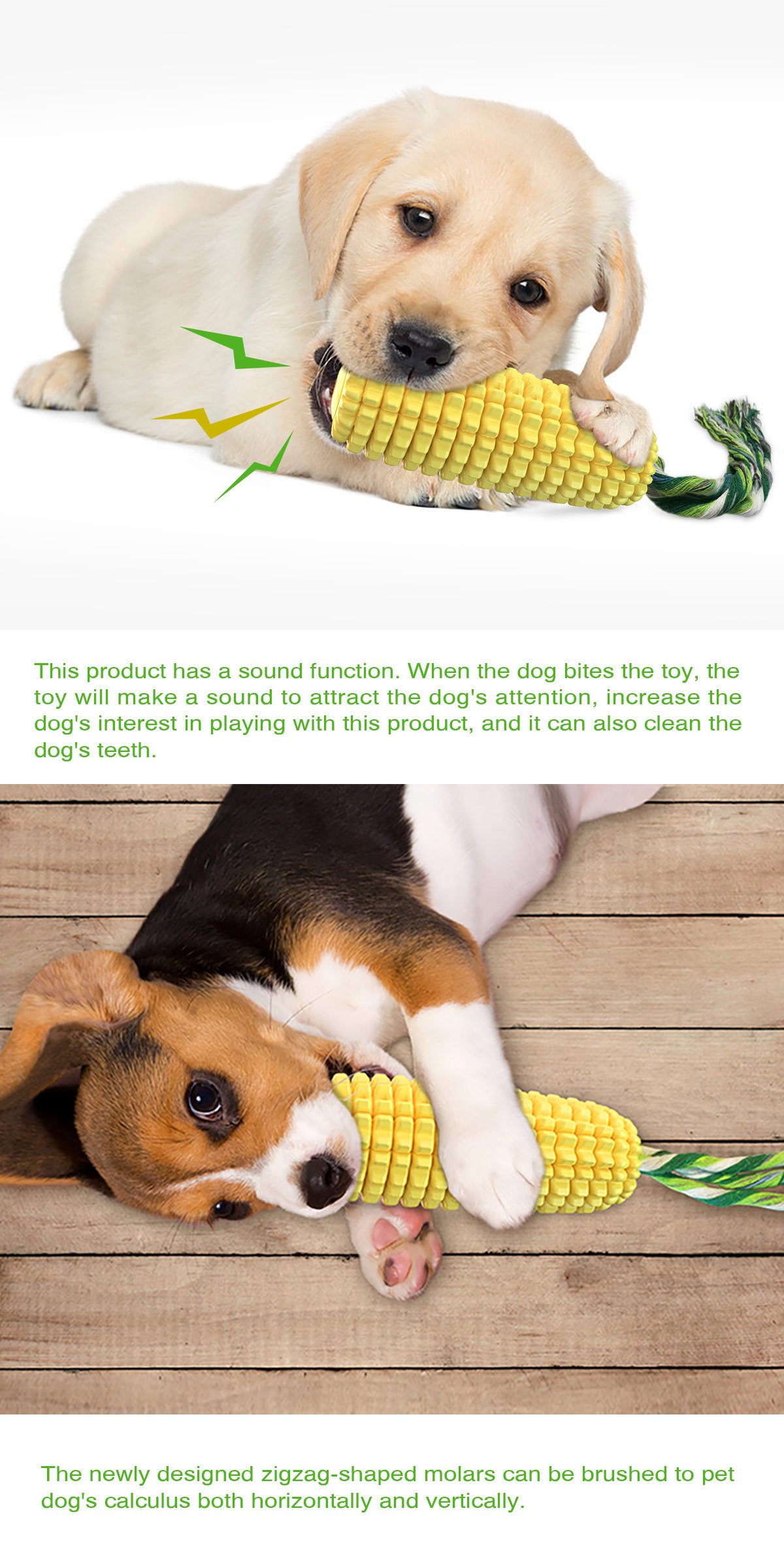 Hot Selling Large Size Corn Sh - Corn Dog Stick 리뷰 및 가격