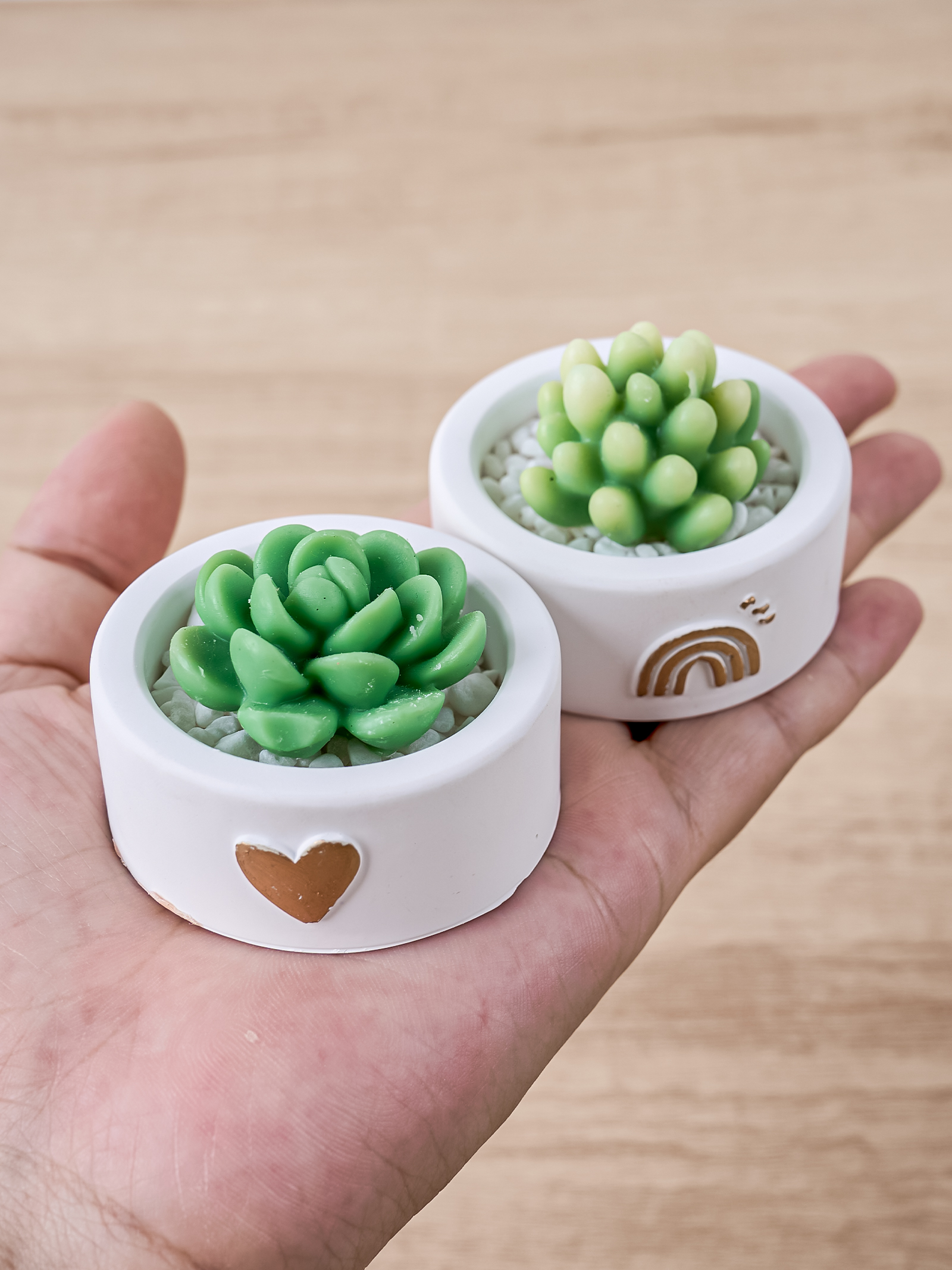 Round Candle Cup Holder Silico - Potsticker Mold 리뷰 및 가격