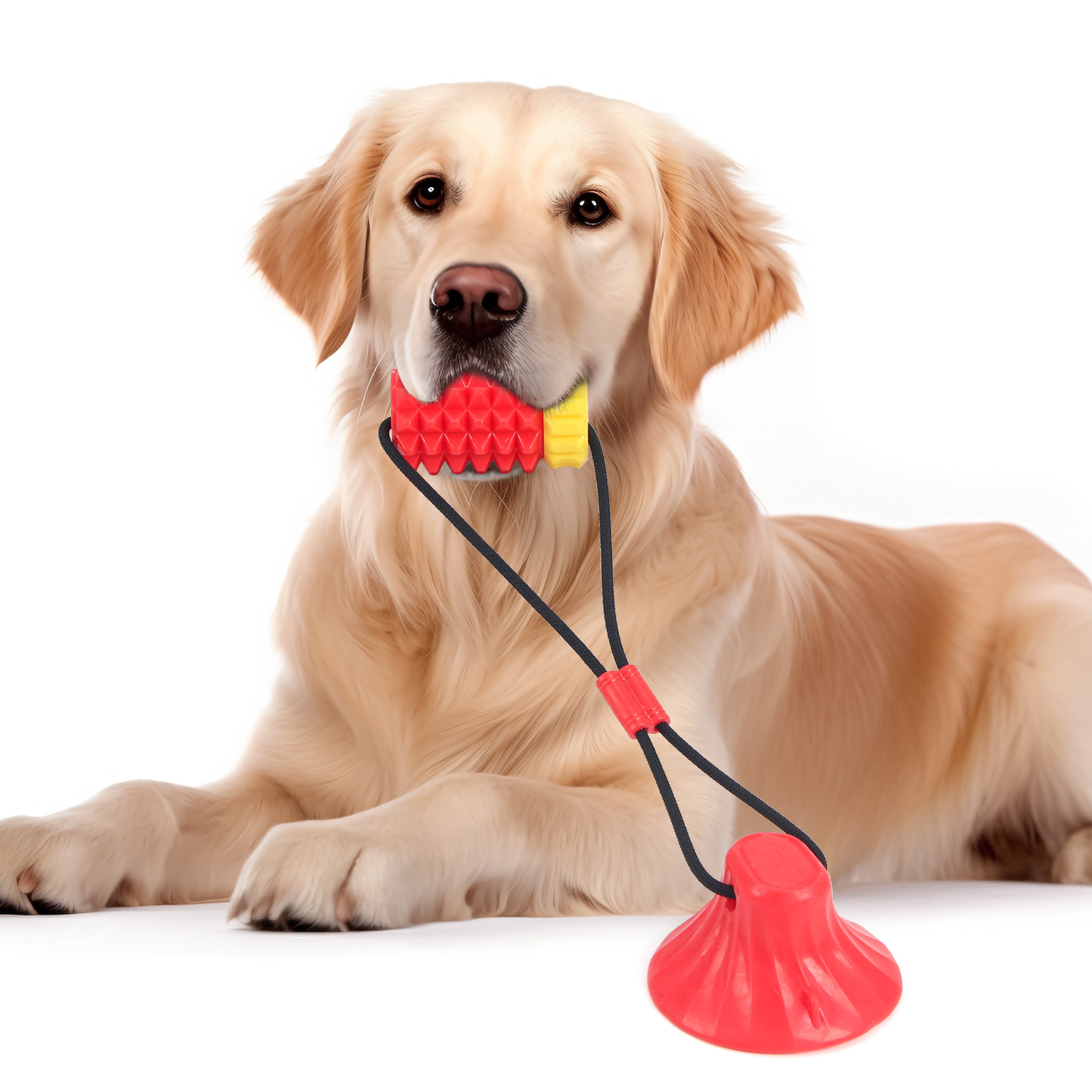 Simulated Corn Cob TPR Dog Toy - Corn Dog Stick 리뷰 및 가격