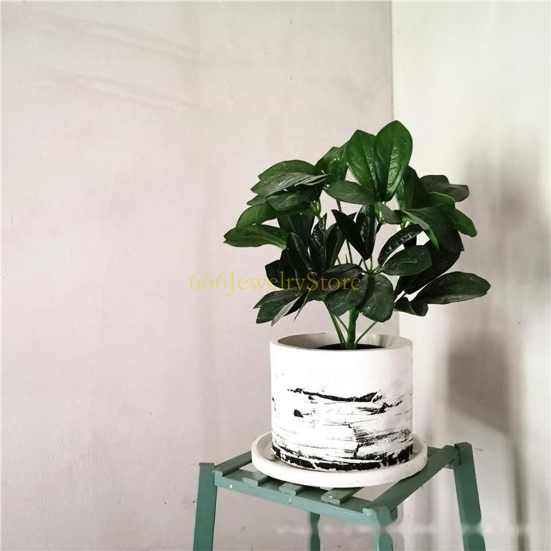 F2TD Large Round Concrete Flow - Potsticker Mold 리뷰 및 가격