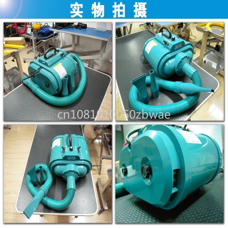 3300W Pet Hair Dryer Dog/Cat G - Hot Dog Press 리뷰 및 가격