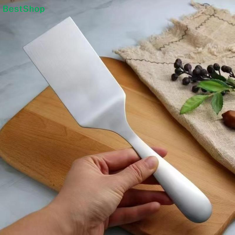 〔R〕Stainless Steel Steak Spatu - Okonomiyaki Spatula 리뷰 및 가격